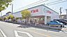 周辺：スギ薬局上ノ島店 607m