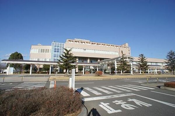 メゾンラフィネ 00101｜栃木県佐野市奈良渕町(賃貸アパート2LDK・1階・50.95㎡)の写真 その4