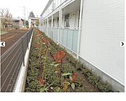 植栽