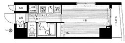 トーシンフェニックス武蔵関 1Kの間取図画像
