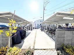 セントポーリアII