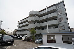 アフィニス原木