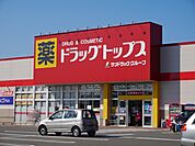 ドラッグ・トップス葛塚店 750m