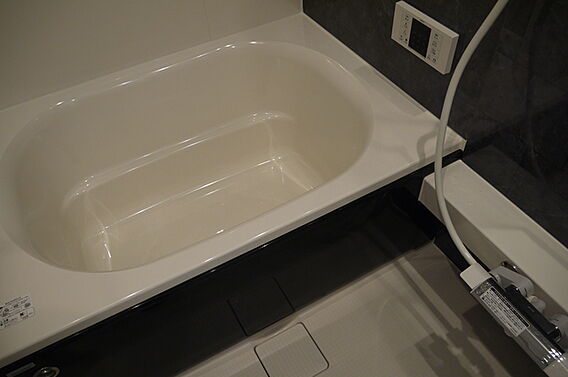 サフィーラ_その他_1