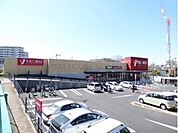 ヤオコー朝霞岡店 736m
