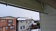 207の写真となります