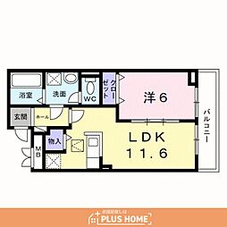 ヒカルサ和歌山本町 1LDKの間取図画像