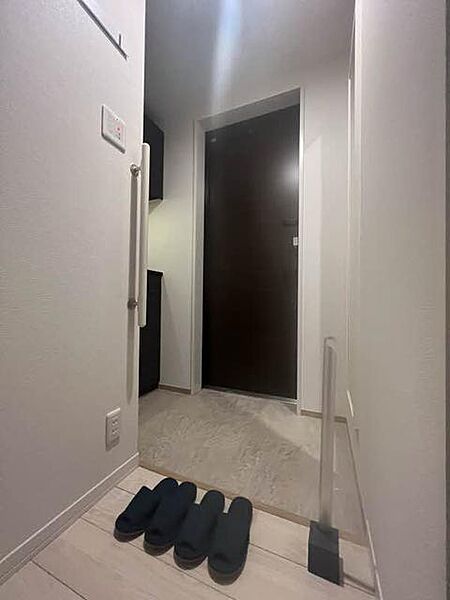 画像12:住まいの顔といえる玄関。玄関手摺でらくらくです。