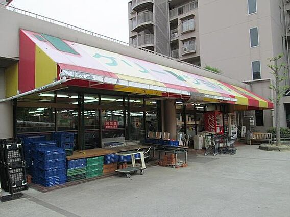 ミレニアム_周辺_2