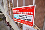 ★ネット無料★