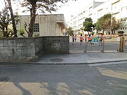 [周辺] 横浜市立永野小学校まで740m