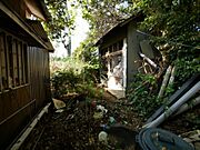 敷地内の写真です。広々275坪の土地です。