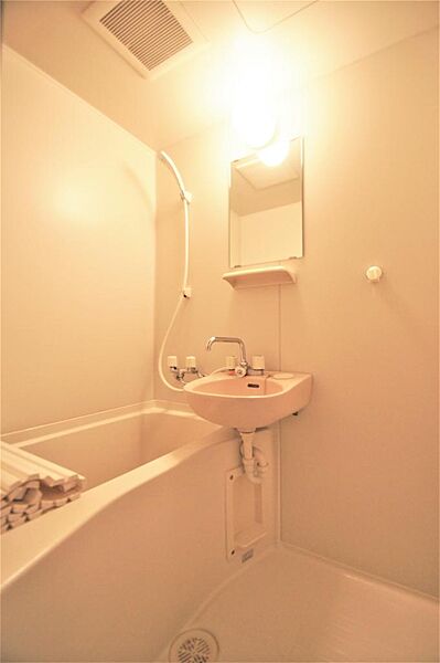 画像14:うれしい鏡付きのお風呂です。