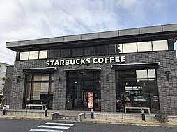 [周辺] 【喫茶店・カフェ】スターバックス　コーヒー　千葉美浜店まで338ｍ