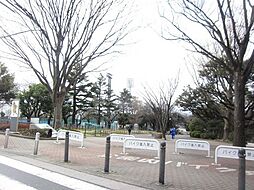 [周辺] ★★三ツ沢公園★★ 870m