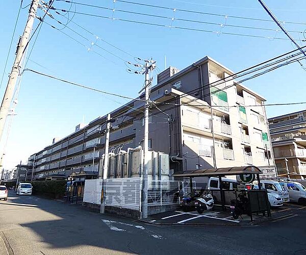 コーポラス伏見 509｜京都府京都市伏見区深草池ノ内町(賃貸マンション2DK・5階・50.60㎡)の写真 その1