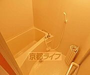 バスです。
