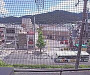 鳥避けネット設置済み・