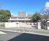 大津市立平野幼稚園まで205m