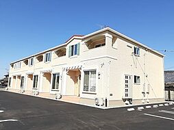 ｓａｌｉｅｎｔｅ　IV 203