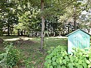 やなぎくぼ森の広場 (570m)