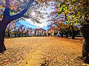みずほ台中央公園 (1240m)