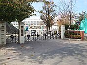 練馬区立石神井東小学校 (730m)