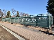 谷保第三公園テニスコート (300m)