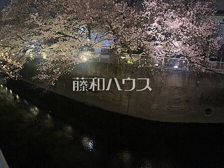 近隣を流れる神田川沿いには桜の木が植えられえいるため、お花見が楽しめそうですね♪ 【ヴィラロイヤル東中野】