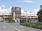 スーパーアルプス 日野店 (320m)