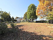 向原中央広場・公園 (790m)