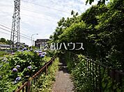 玉川上水緑道(武蔵野市桜堤) (1060m)
