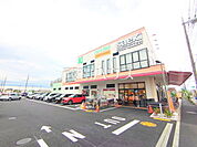 フーズマーケットさえき柏町店 (260m)