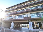 新座市立新堀小学校 (310m)