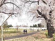 都立高井戸公園 (1150m)