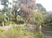 つつじヶ丘公園 (410m)