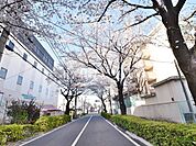 大泉学園通り (960m)