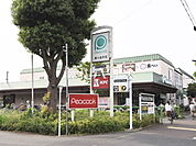 ピーコックストア 東小金井店 (1100m)