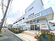 オーケー新座野火止店 (270m)