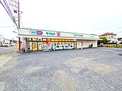 ドラッグセイムス 大楽寺店 (370m)