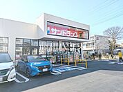 サンドラック日野万願寺店 (350m)