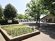 日野市 市民の森スポーツ公園 (560m)