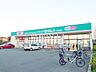 周辺：ドラッグセイムス下保谷店 (920m)