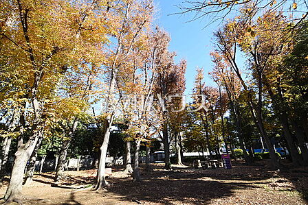 北町公園 (武蔵野市) (390m)