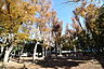 周辺：北町公園 （武蔵野市） (390m)