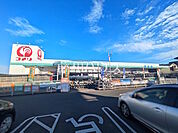 コメリハード＆グリーン羽沢店 (1020m)