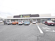 いなげや練馬上石神井南店 (940m)