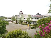 多摩市立大松台小学校 (450m)
