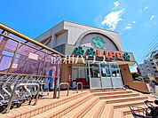 ライフ赤塚店 (1240m)