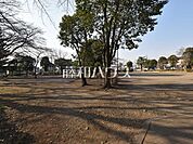 山王森公園 (880m)